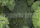 Biodiversität