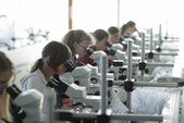 Studierende Mikroskop