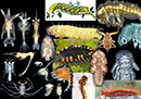 biodiversity_lmuwebsitesm